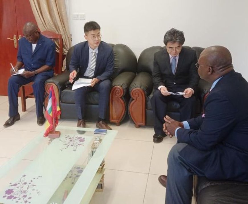 Audience accordée a l'ambassadeur de Chine en Centrafrique.